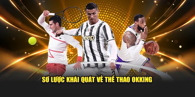 Giới thiệu hạng mục thể thao OKKING